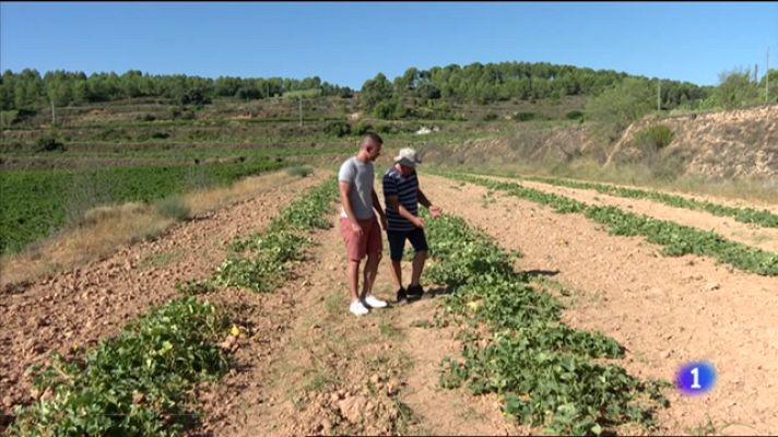 L'informatiu - Comunitat Valenciana - L'Informatiu de la Comunitat Valenciana 2 - 23/08/23