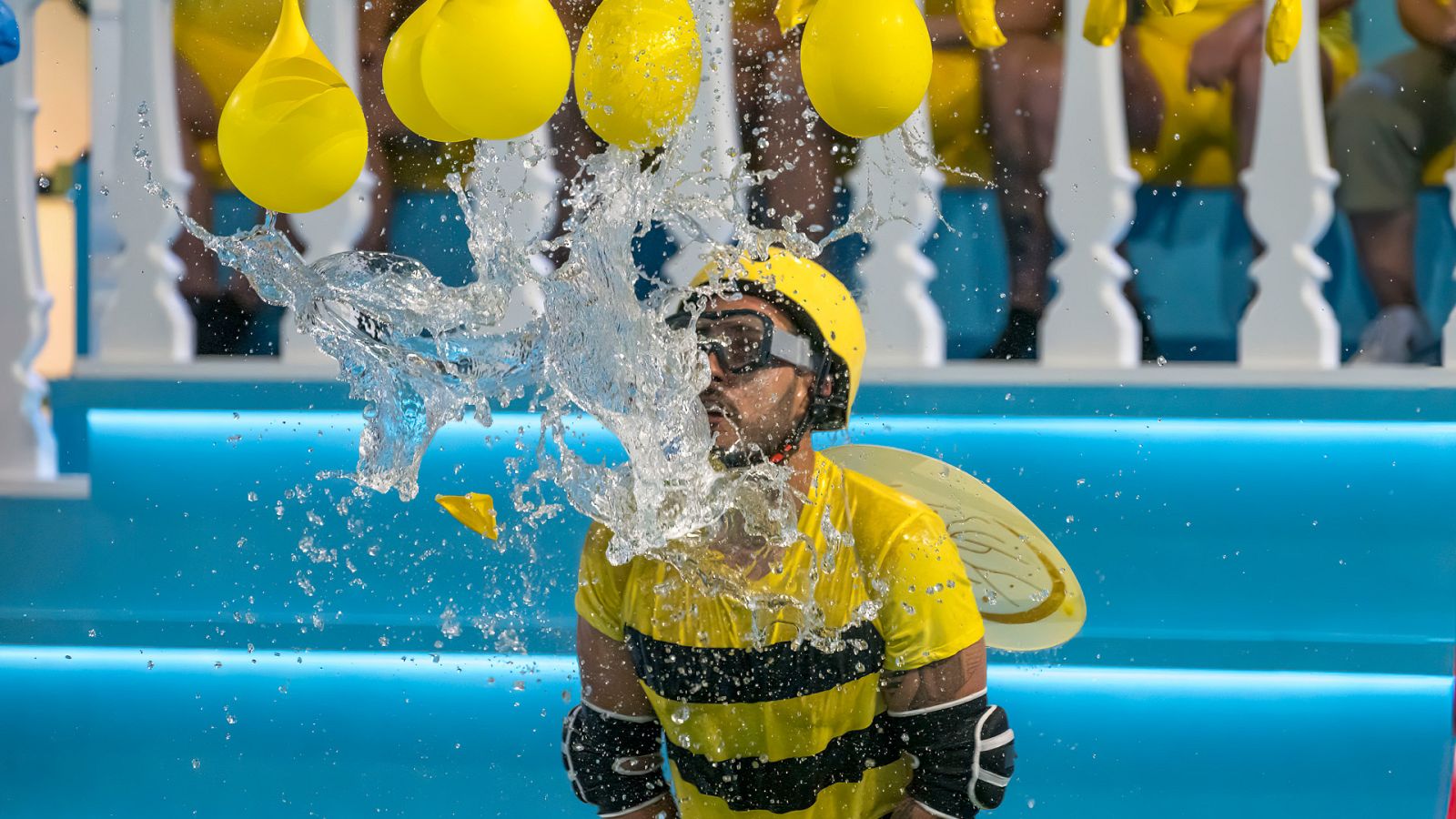 Programa 6: Abejas a lo loco