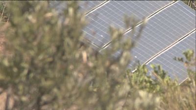 Llum verda a una planta solar en terrenys on una taulellera volia construir un centre log�stic