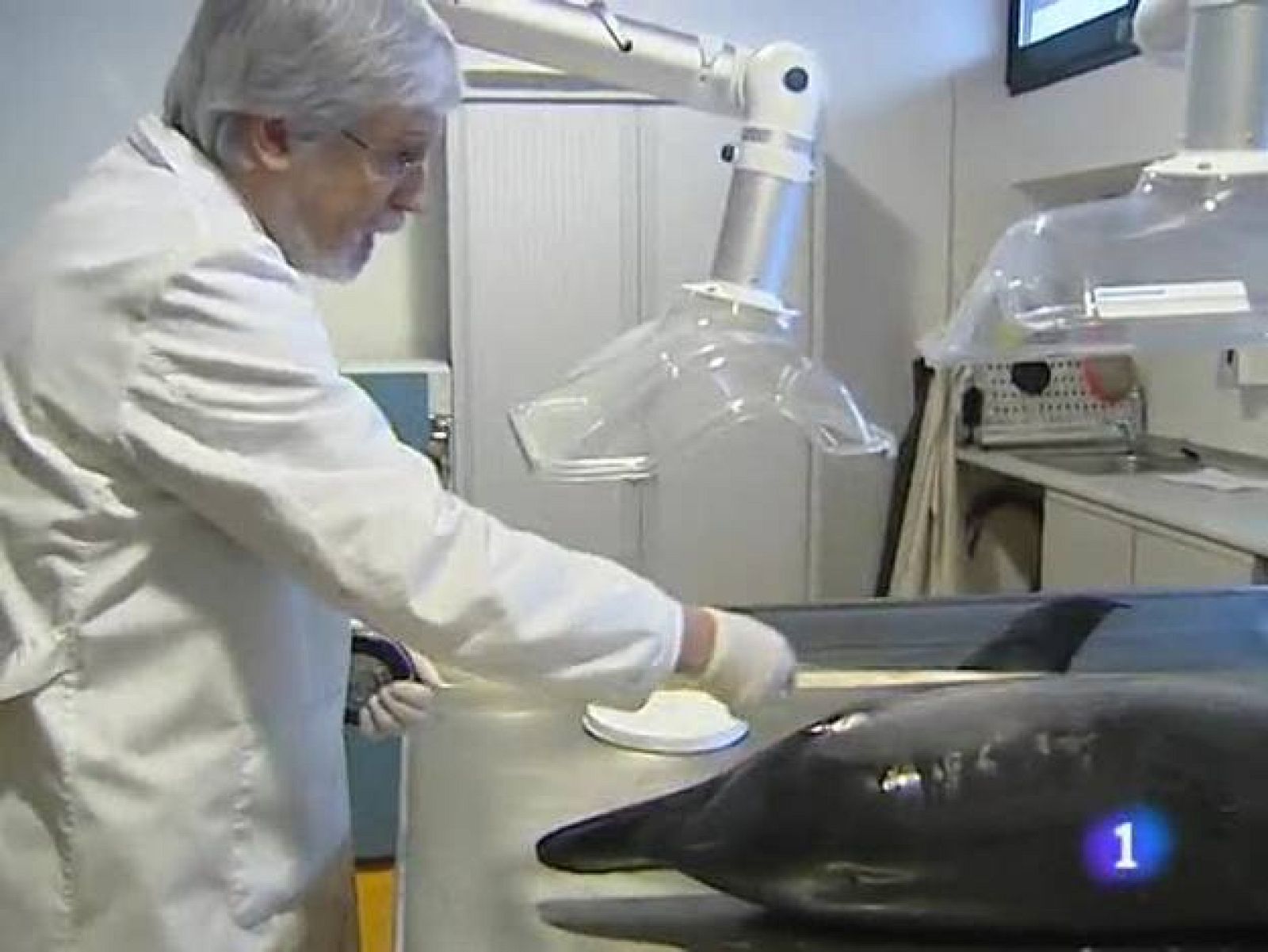 Telecantabria. (16/02/10)