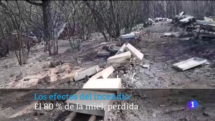 Telecanarias - Canarias en 2' - 25/08/2023