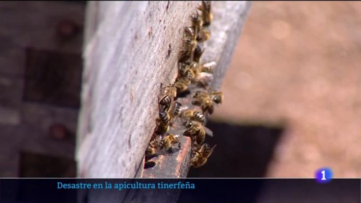 Telecanarias - Telecanarias - 25/08/2023