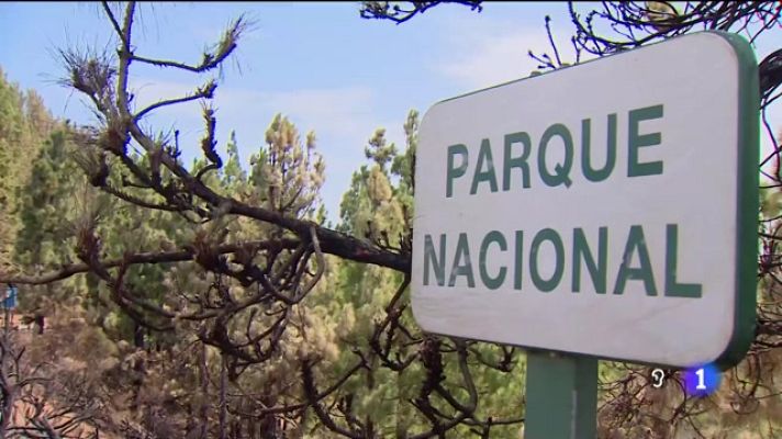 Telecanarias - Telecanarias - 27/08/2023