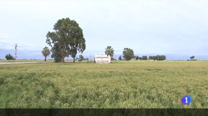 L'Informatiu - L'Informatiu - 27/08/2023