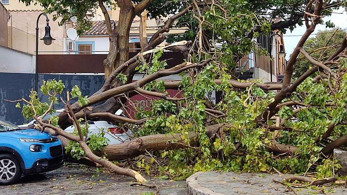 Fin de semana 24h - Informativo 24 horas - 20h - 27/08/23