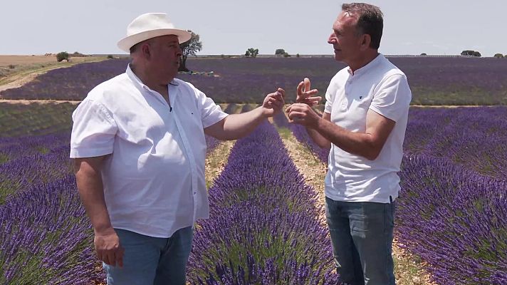 Aquí la Tierra - Aquí la Tierra - 27/08/23