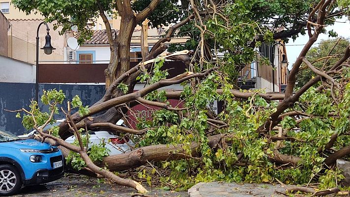 Telediario Matinal - Telediario Matinal en 4' - 28/08/2023