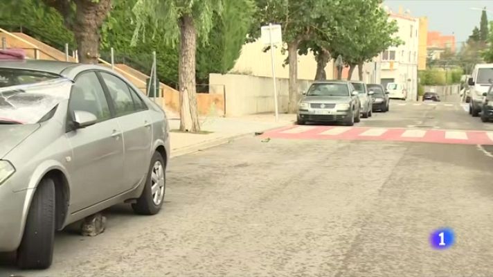 L'Informatiu - S'avaluen els danys pel temporal del cap de setmana