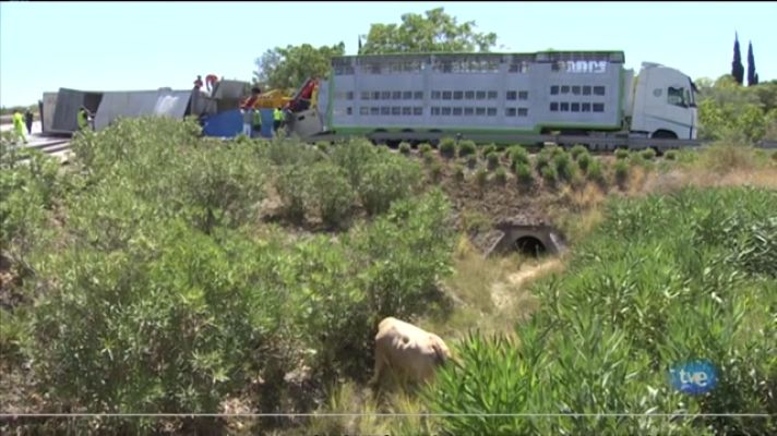 L'informatiu - Comunitat Valenciana - L'Informatiu de la Comunitat Valenciana 2 - 28/08/23