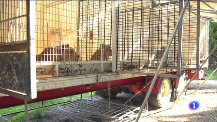 L'informatiu - Comunitat Valenciana - L'Informatiu de la Comunitat Valenciana 2 - 31/08/23