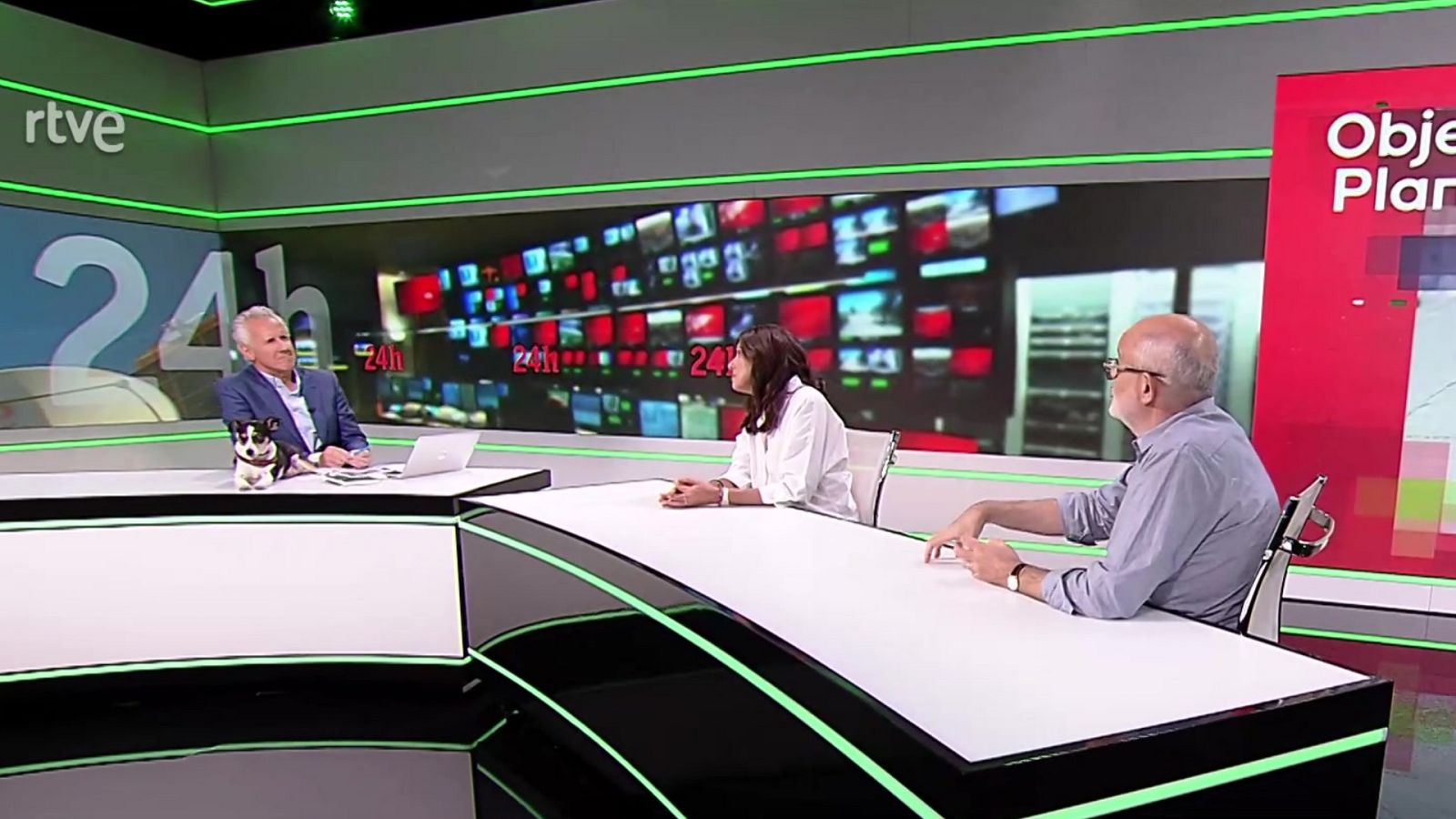 Objetivo Planeta - Abandono de mascotas - ver ahora