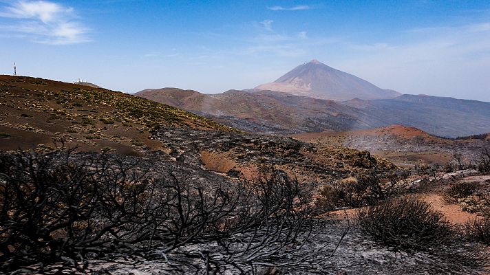 Telediario 1 - Lluvias en junio o menos olas de calor seguidas: ¿por qué ha habido menos incendios en 2023 que en 2022?