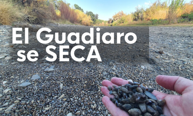 Noticias Andalucía - El río Guadiaro se seca