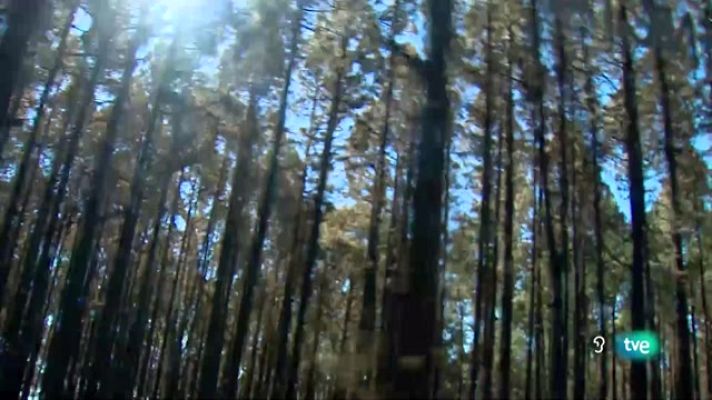 Telecanarias - Telecanarias 2 - 31/08/2023