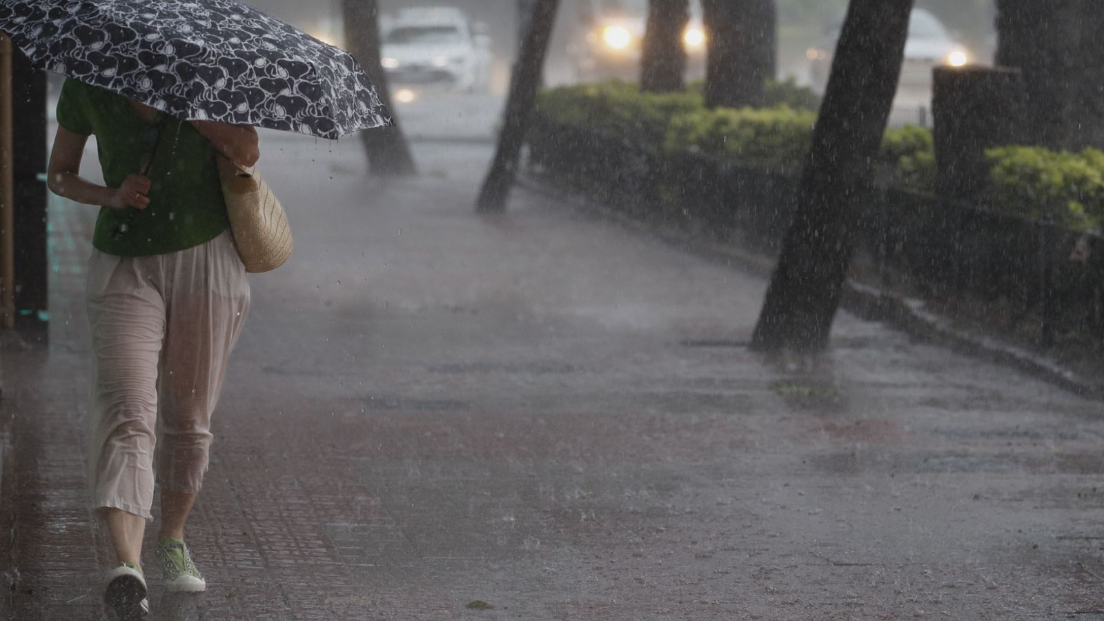 Telediario - 21 horas - 02/09/23 - ver ahora