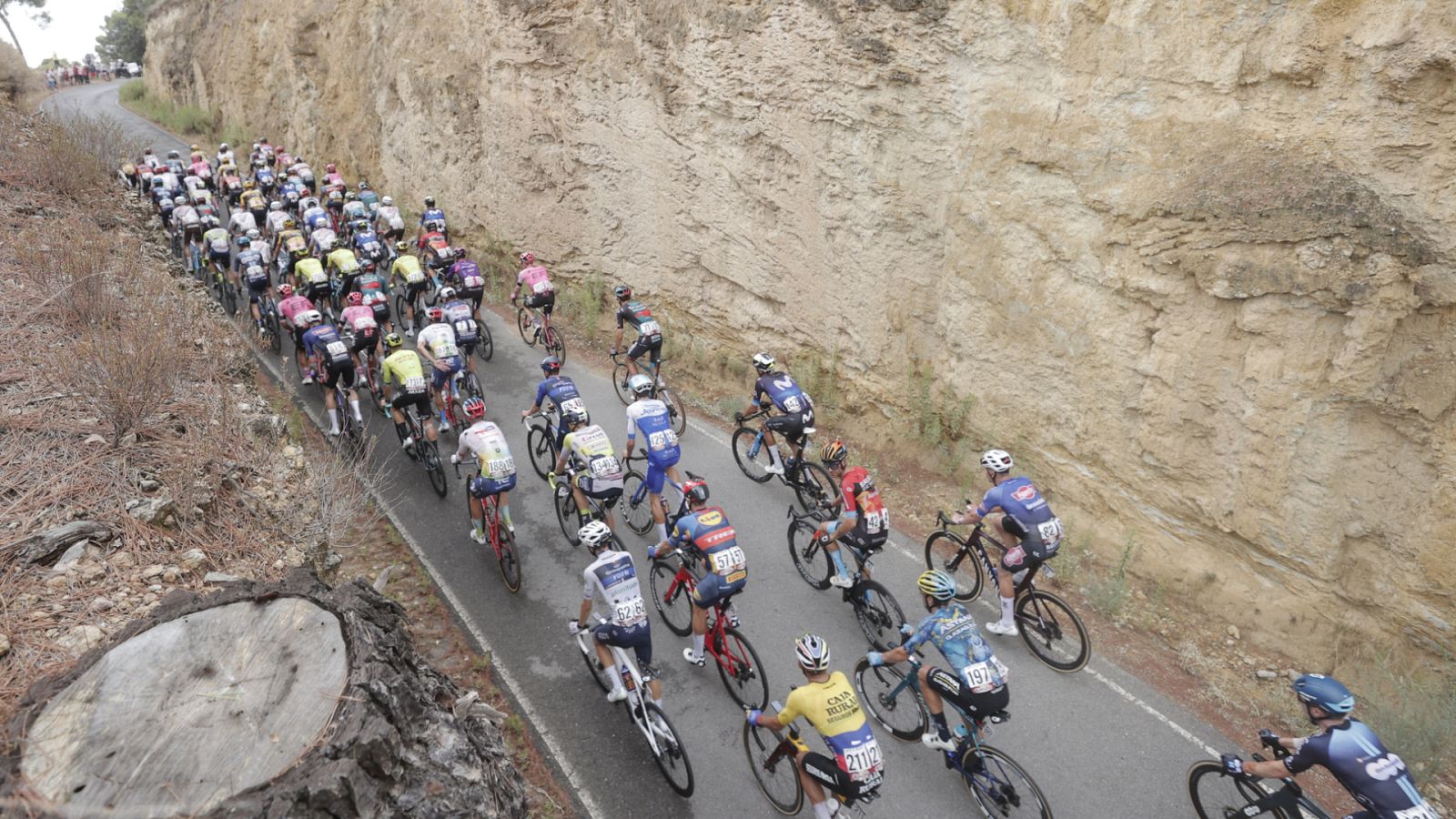 El rodillo - Programa 8 - ver ahora