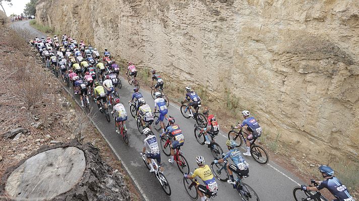 El Rodillo - Programa 8