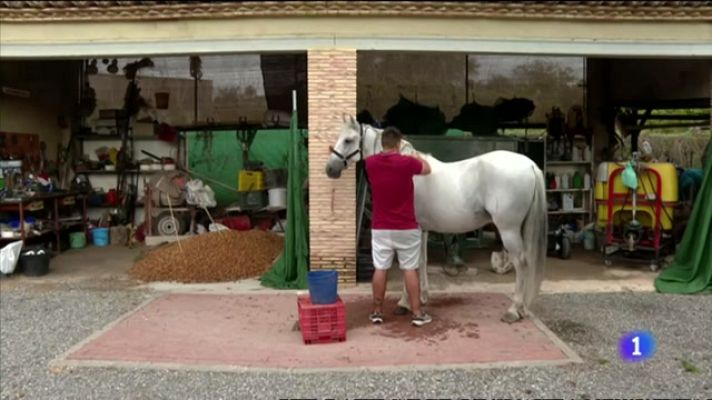 L'informatiu - Comunitat Valenciana - L'Informatiu Comunitat Valenciana 1 - 04/09/23