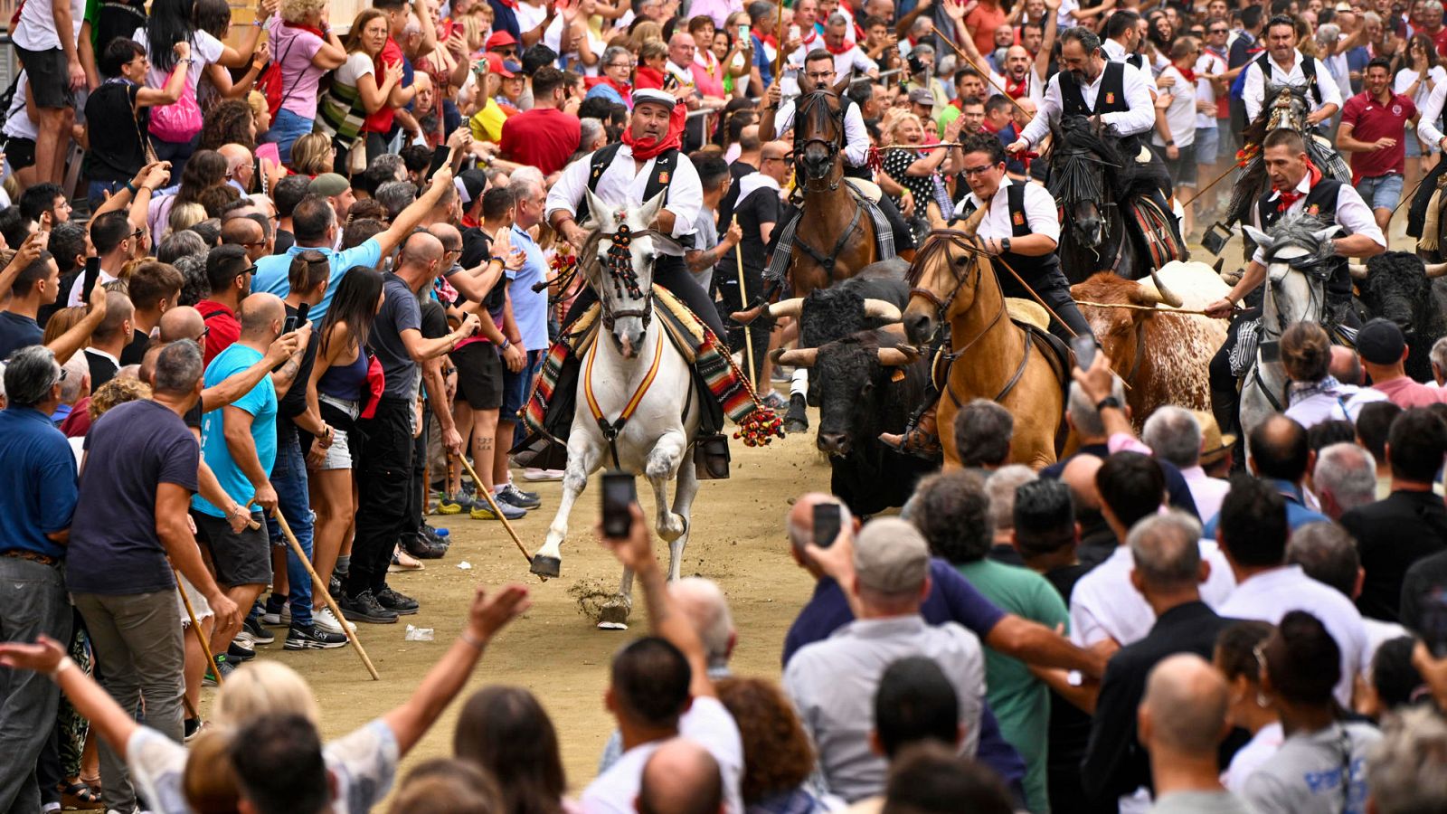 Els cavallistes són els encarregats de dirigir la manada de sis bous i un mans pel carrer Colom