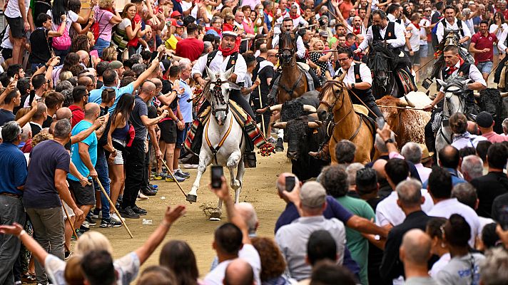 L'informatiu - Comunitat Valenciana - Els cavallistes són els encarregats de dirigir la manada de sis bous i un mans pel carrer Colom
