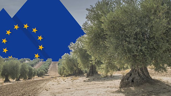 Noticias Andalucía - Reunión de ministros de Agricultura