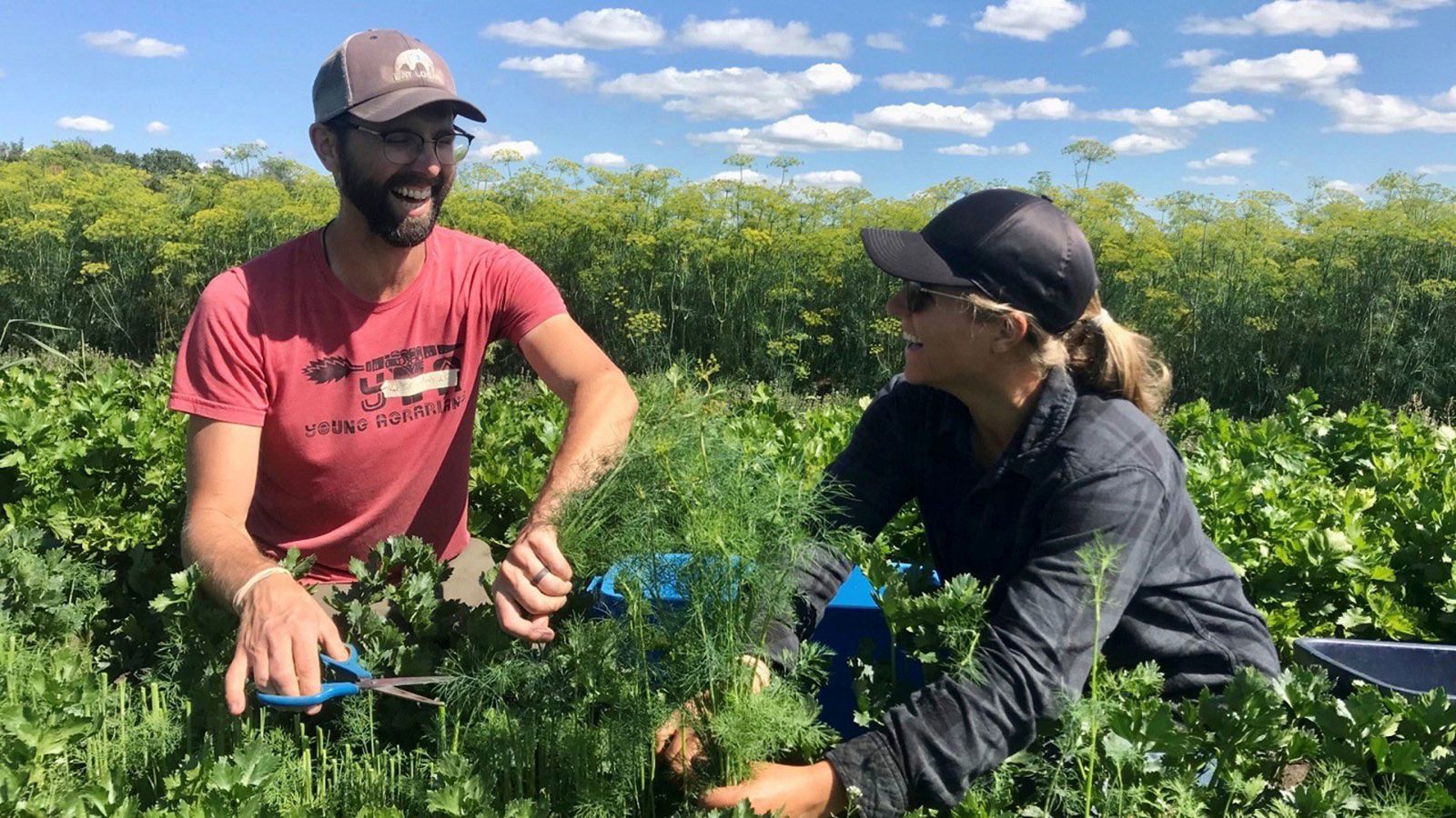 Para todos La2 - 09/09/23 - ver ahora