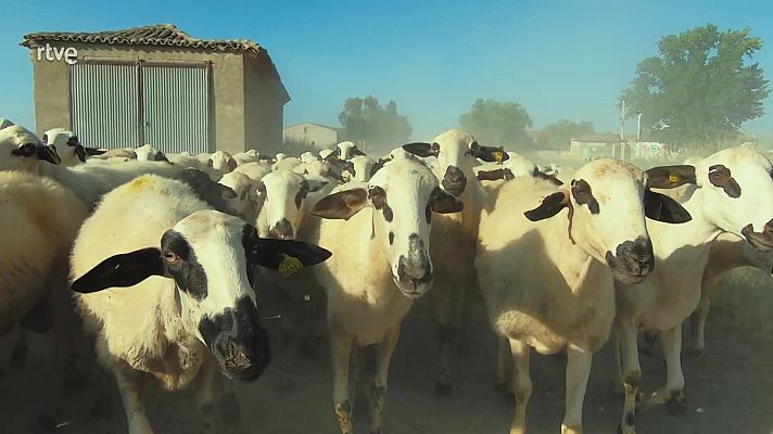 Aquí la Tierra - Aquí la Tierra - 10/09/23