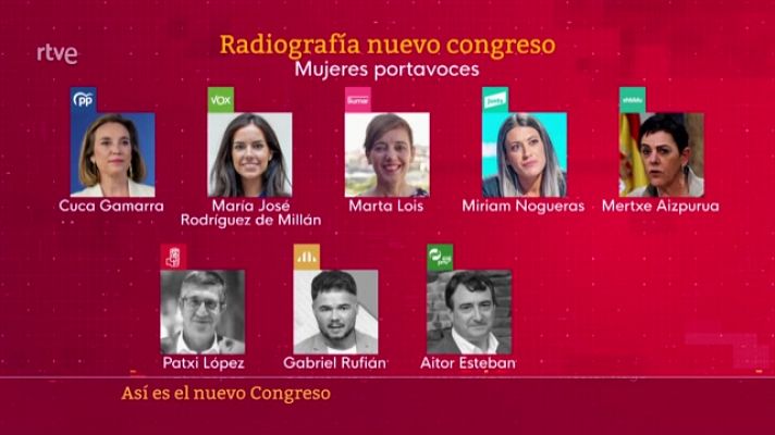 Parlamento - Radiografía del nuevo Congreso