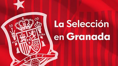 La selecci�n ya est� en Granada - Ver ahora