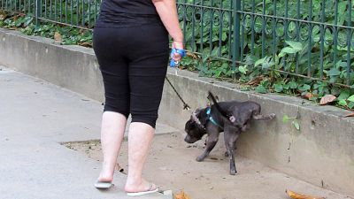 Obligados a limpiar los orines de sus perros | Ver