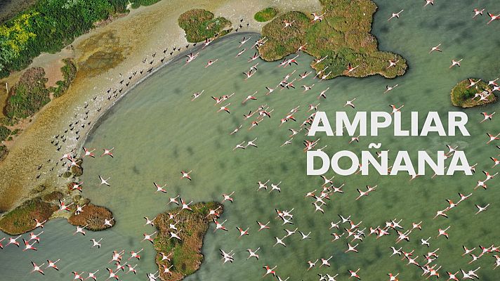 Noticias Andalucía - Reacciones al anuncio de la Junta de Andalucía