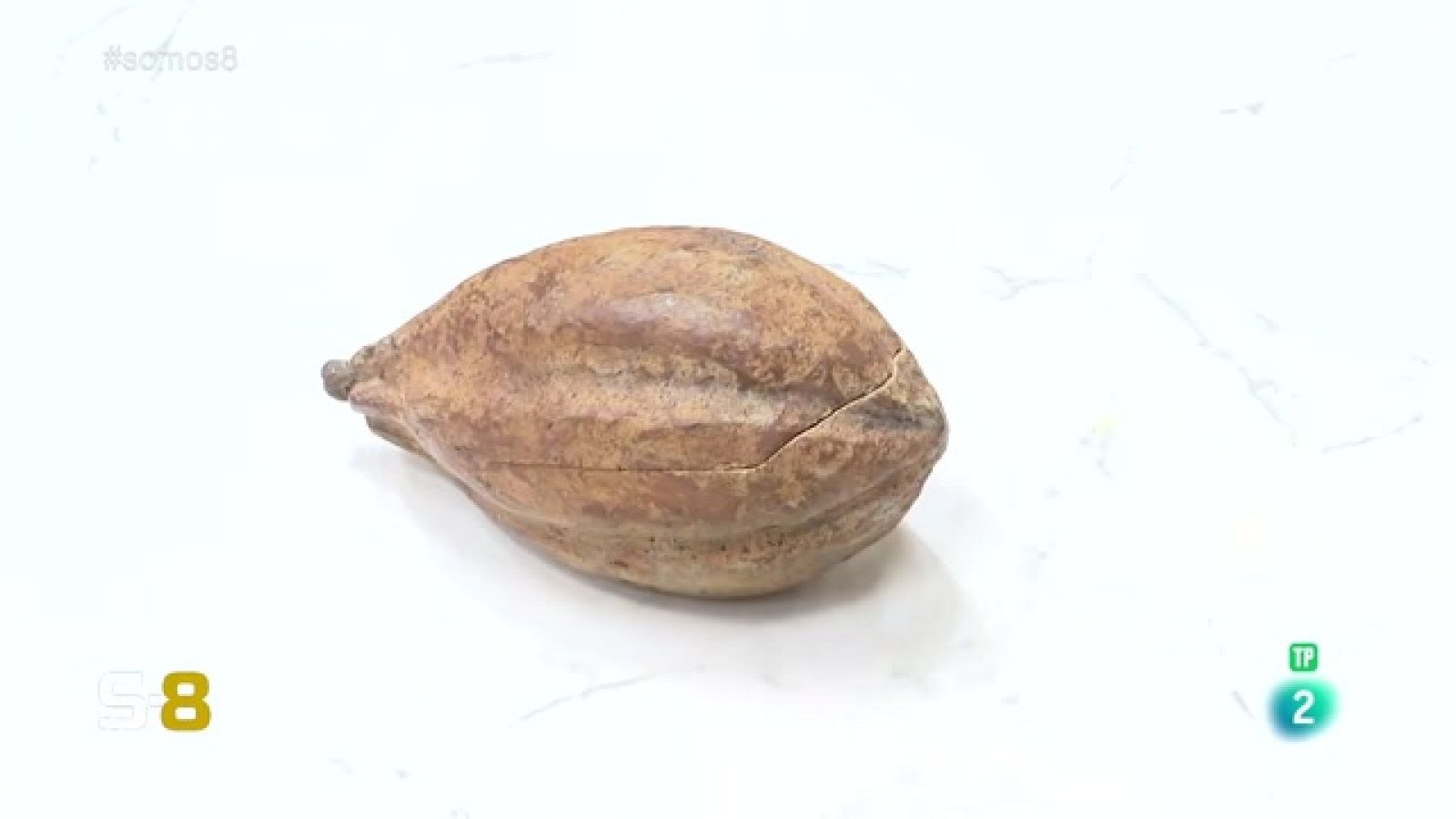 Somos 8 - 12/09/2023 | Magazine de la actualidad canaria - Somos 8 | Ver