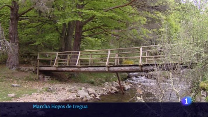 Informativo Telerioja - Informativo Telerioja 2 - 13/09/23