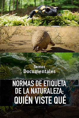 Normas de etiqueta de la naturaleza; quién viste qué