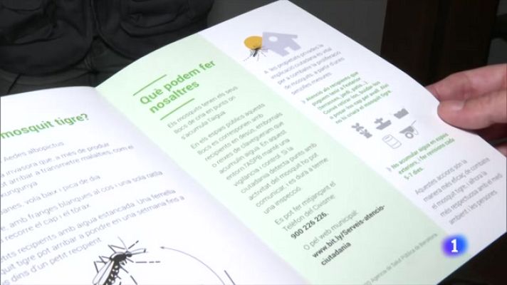 L'Informatiu - Campanya de prevenció del mosquit tigre: les claus
