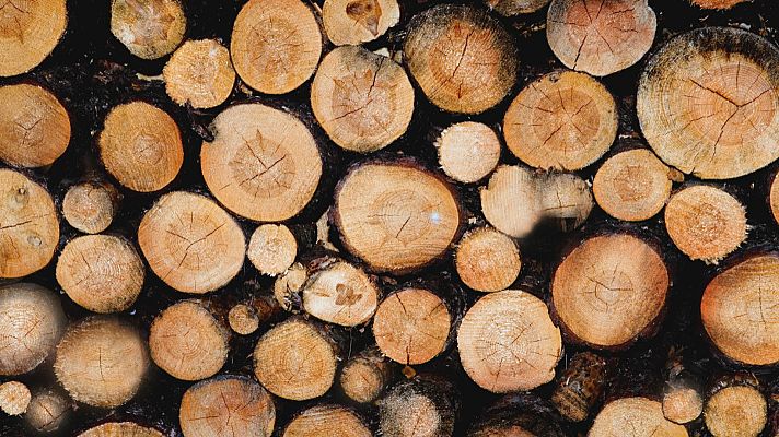 Noticias Andalucía - El último carpintero de ribera