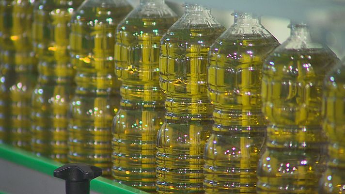 L'informatiu - Comunitat Valenciana - Dos malas campañas consecutivas disparan el precio del aceite de oliva