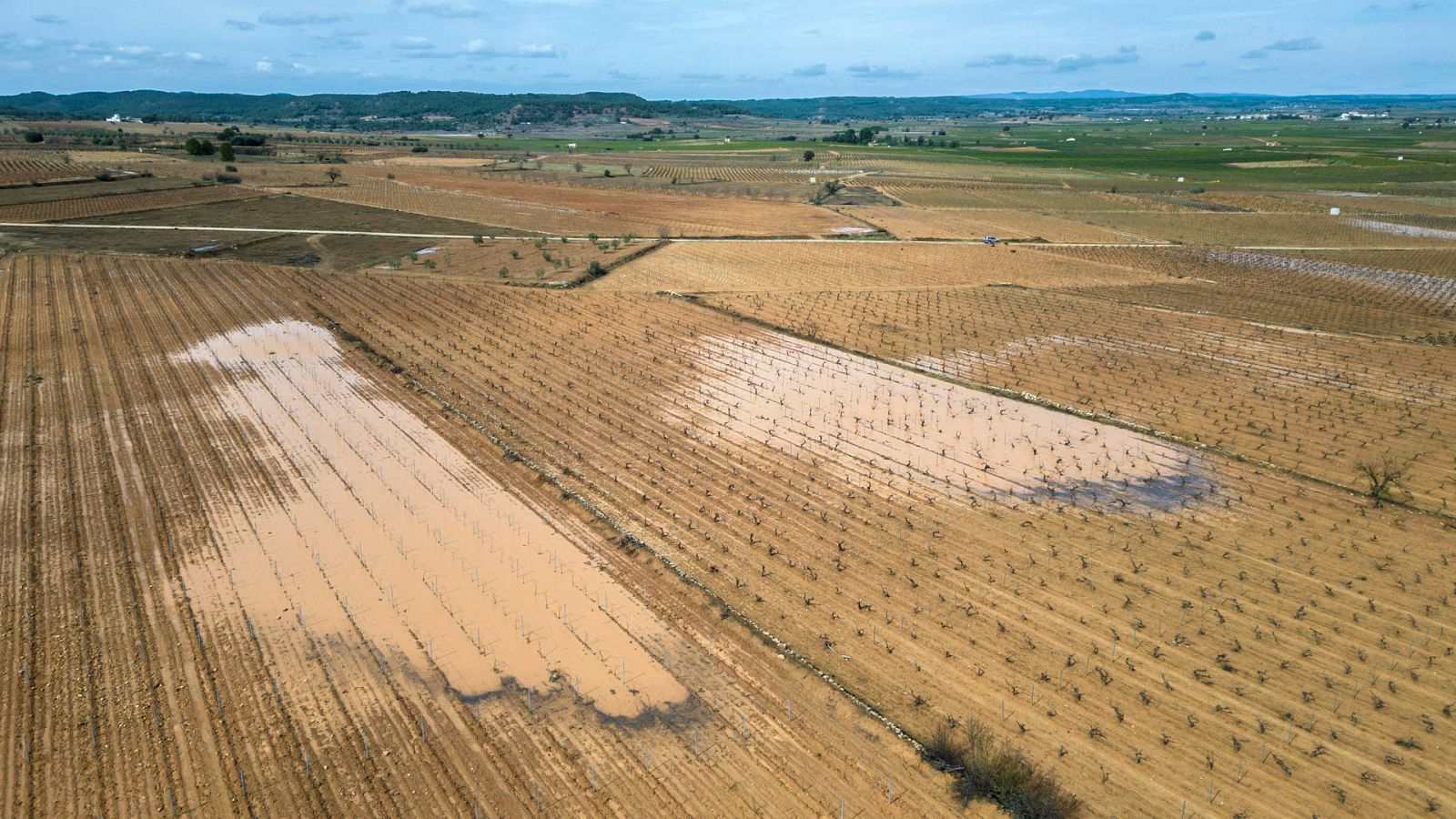 La piedra causa grandes daños en los cultivos de la Comunitat Valenciana