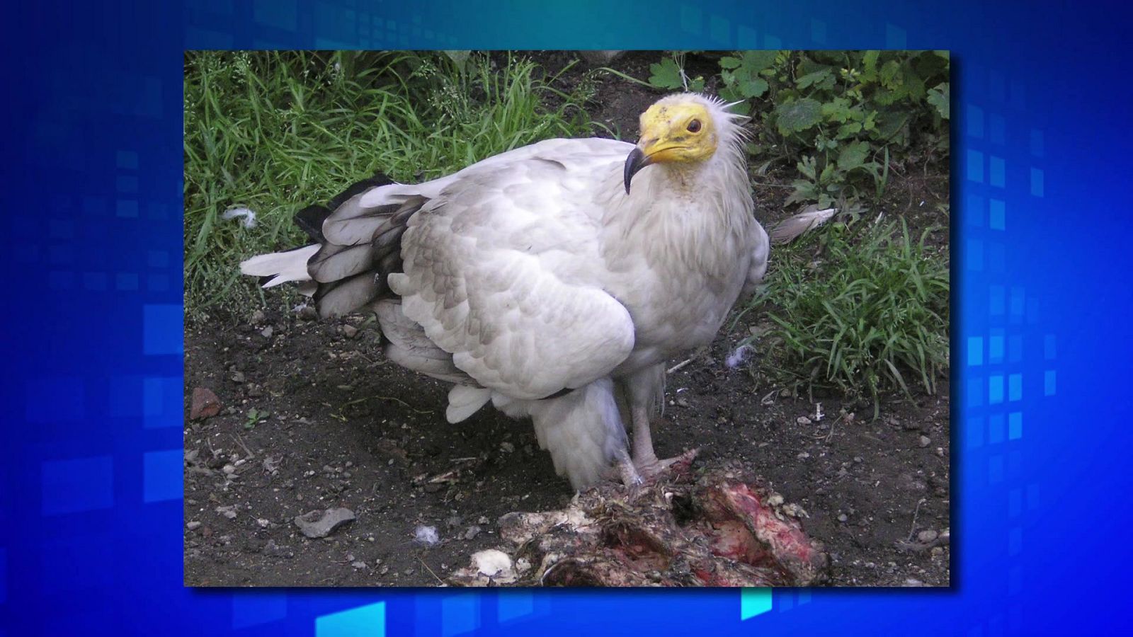 Saber y ganar - 19/09/23 - ver ahora