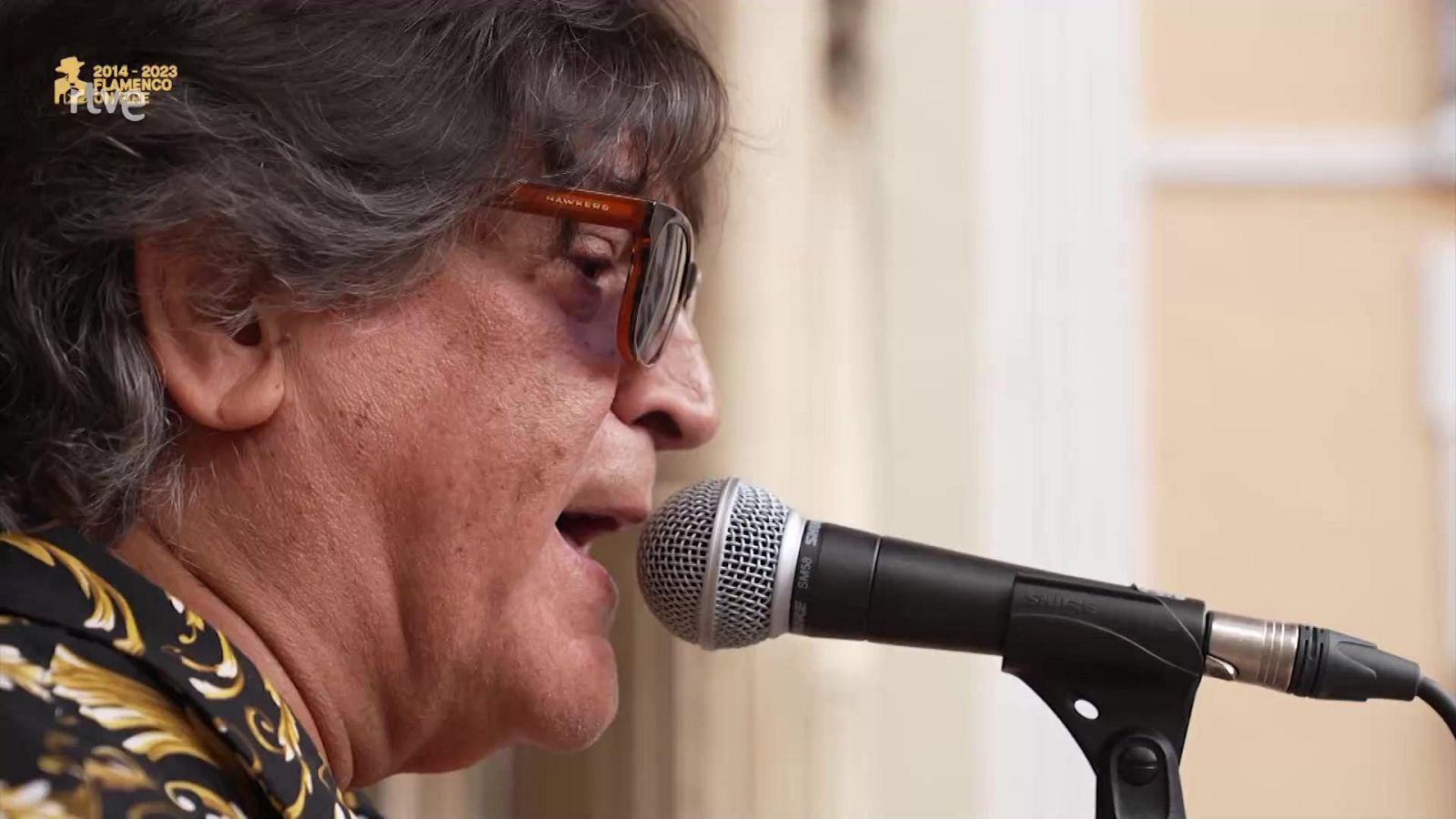 Festivales de La2 - 10º Flamenco on Fire: Programa resumen 2 - ver ahora