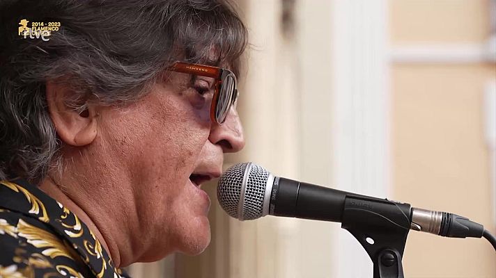 Festivales de verano de La 2 - 10º Flamenco on Fire: Programa resumen 2