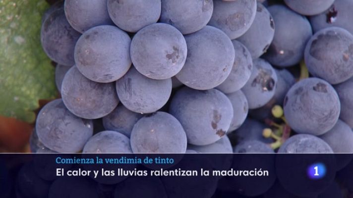 Informativo Telerioja - Informativo Telerioja - 20-09-2023