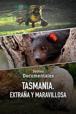 Somos Documentales - Tasmania. Extraña y maravillosa