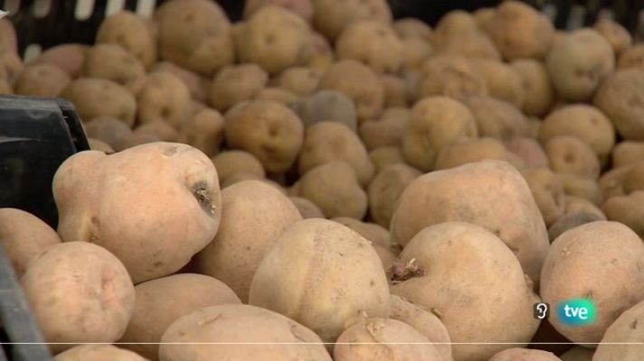 Telecanarias - Telecanarias 2 - 21/09/2023