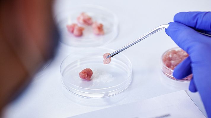 Telediario 1 - Carne cultivada y alimentos de origen vegetal, la próxima revolución alimentaria