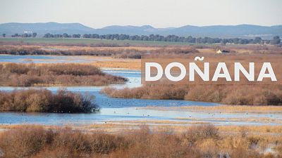 Investigaci�n de la Fiscal�a de la AN - Ver ahora