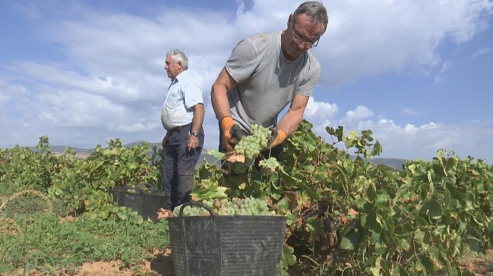 Agrosfera - Agrosfera - 23/09/23