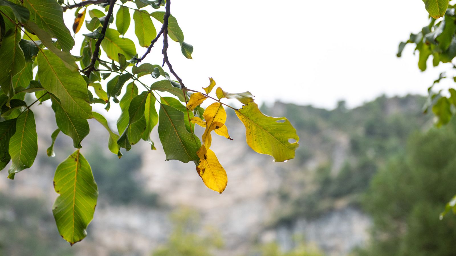 Informativo 24 horas - 14h - 23/09/23 - ver ahora