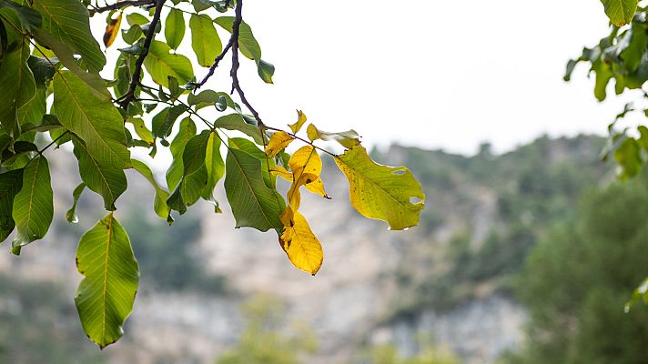 Fin de semana 24h - Informativo 24 horas - 14h - 23/09/23