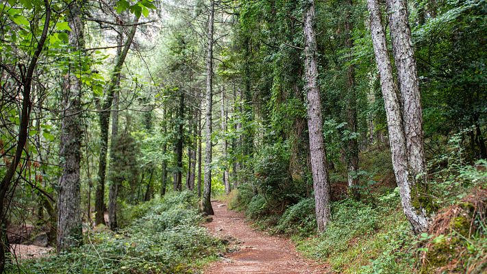 Telediario Fin de Semana - Telediario 1 en 4' - 23/09/23